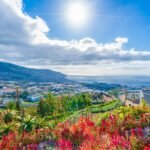 25 Best Things To Do in Madeira, Portugal (2025 Guide)