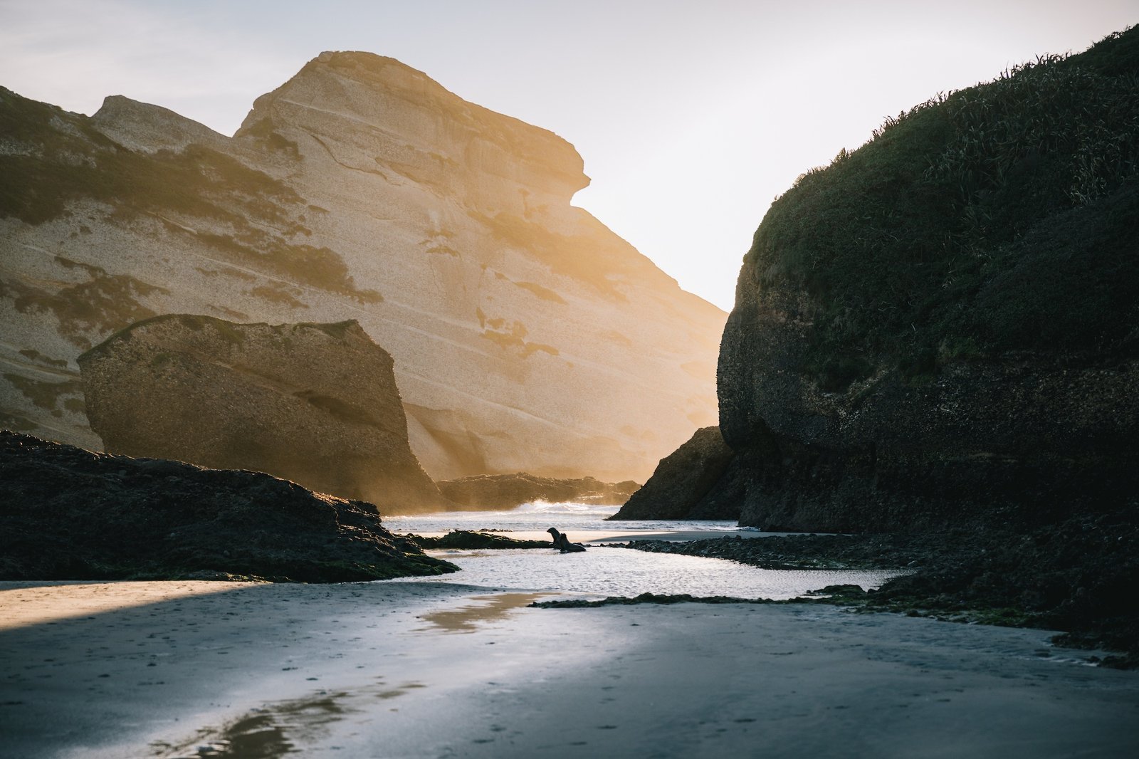 Takaka: a golden getaway to Golden Bay