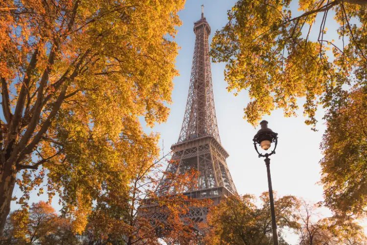 What to Do in Paris in November 2025