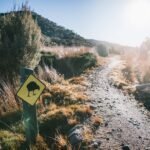 How the Heaphy Track become my new favorite Great Walk