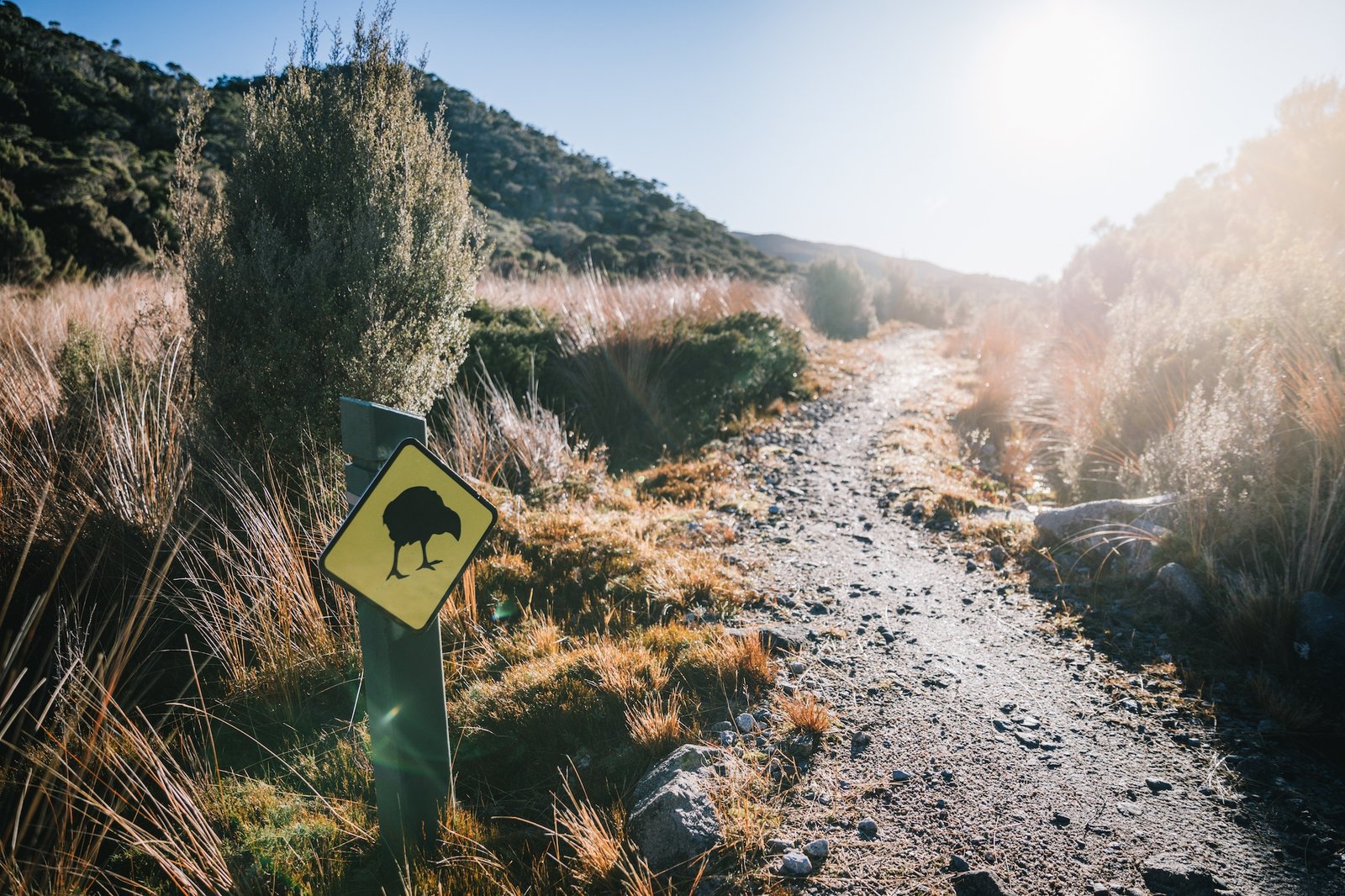 How the Heaphy Track become my new favorite Great Walk