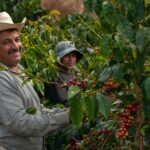 12 new offbeat adventures for 2026