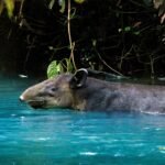 15 new ways to get closer to nature in 2026