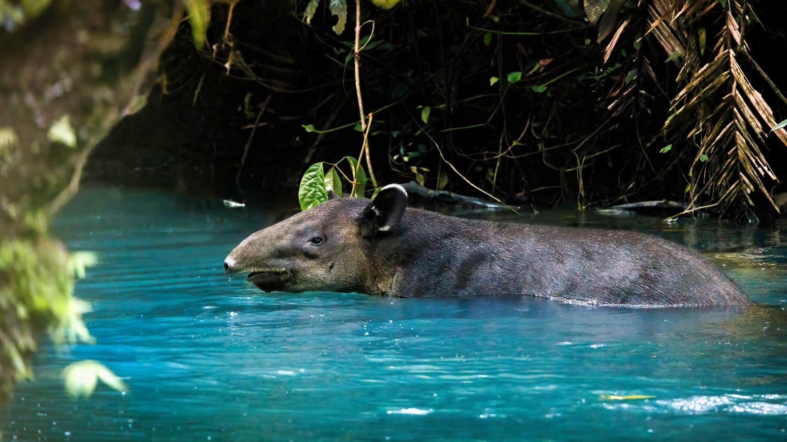 15 new ways to get closer to nature in 2026