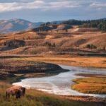 Best National Parks to Visit in the US: A Guide to 25+ Parks for Every Traveller