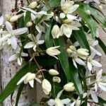 Paris Through My Lens: Le fleuriste