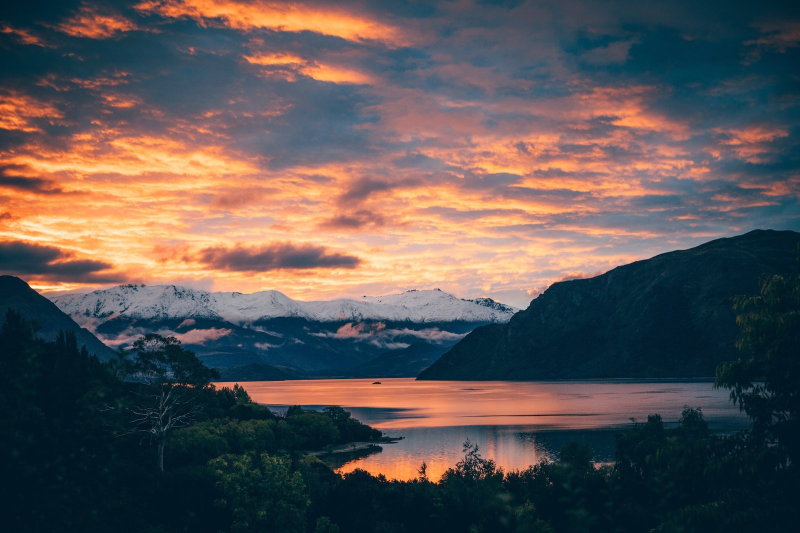 10 years of living in Wānaka as an expat