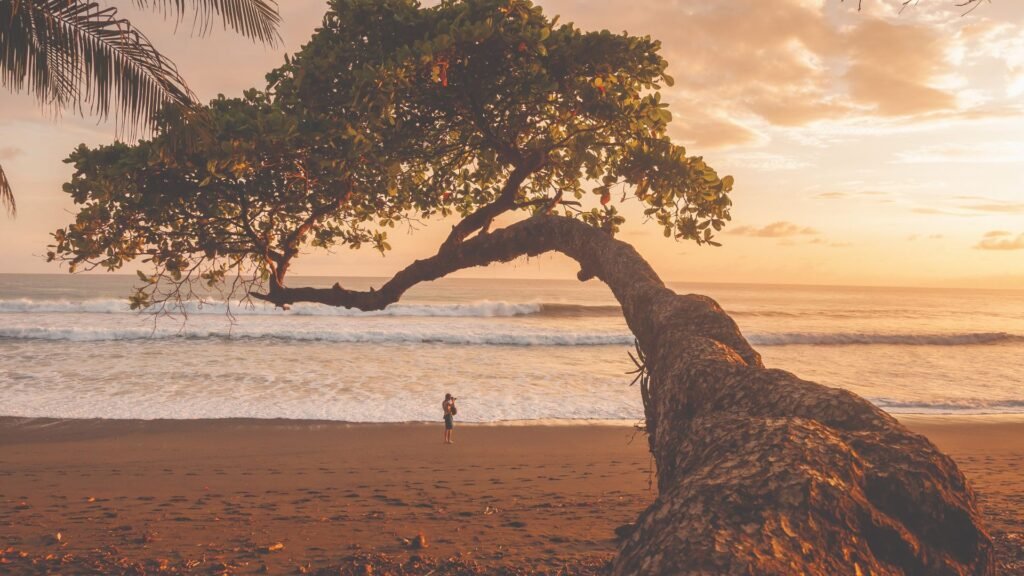 Why missing out on some wildlife in Costa Rica *actually* made my trip better