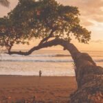 Why missing out on some wildlife in Costa Rica *actually* made my trip better