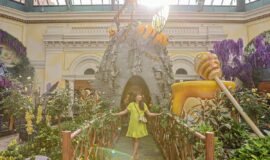 Bellagio Conservatory & Botanical Gardens