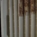 Cathedral Notre-Dame de Chartres IV