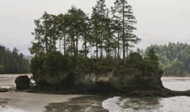 7 Best Things to Do in Port Angeles WA » Local Adventurer » Travel Adventures in Las Vegas + World Wide