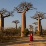 What's it really like to travel to Madagascar? (It's pretty wild!)