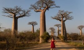 What's it really like to travel to Madagascar? (It's pretty wild!)