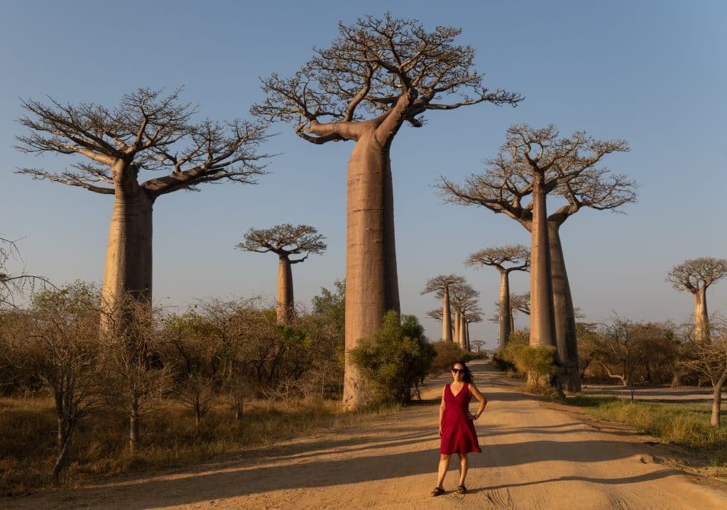 What's it really like to travel to Madagascar? (It's pretty wild!)