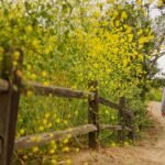 7+ Fun Things to Do in Buena Park CA » Local Adventurer » Travel Adventures in Las Vegas + World Wide