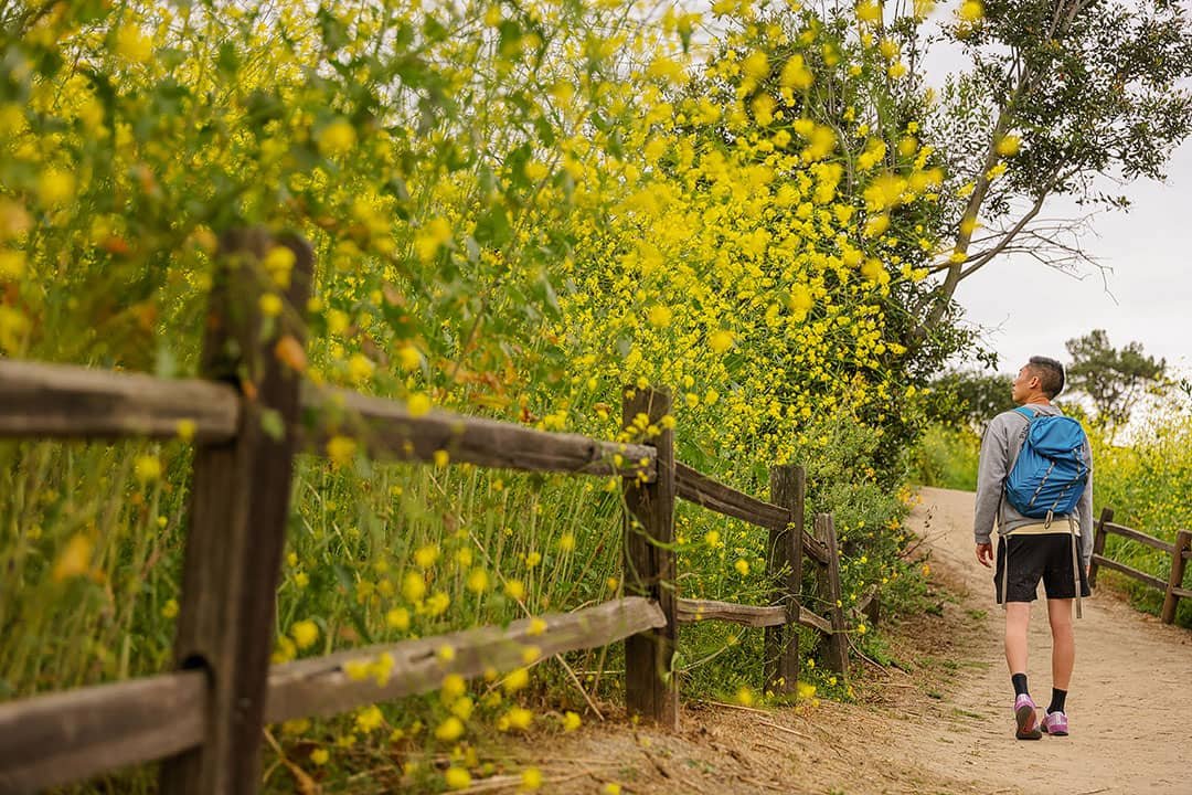 7+ Fun Things to Do in Buena Park CA » Local Adventurer » Travel Adventures in Las Vegas + World Wide