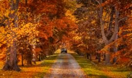 Best Day Trips From Toronto