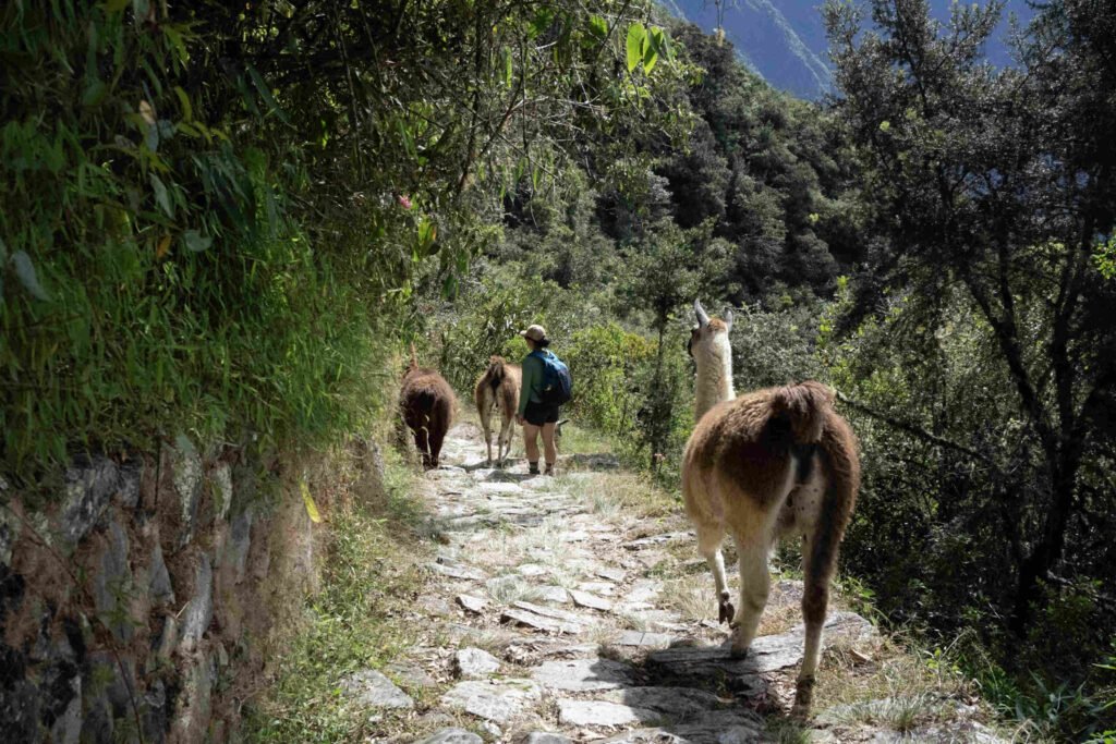 Peru Photography Guide: Beyond Machu Picchu | G Adventures