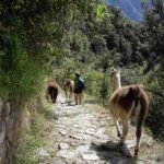 Peru Photography Guide: Beyond Machu Picchu | G Adventures