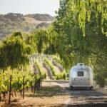 7 Best Things to Do in Sonoma Valley
