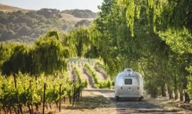 7 Best Things to Do in Sonoma Valley