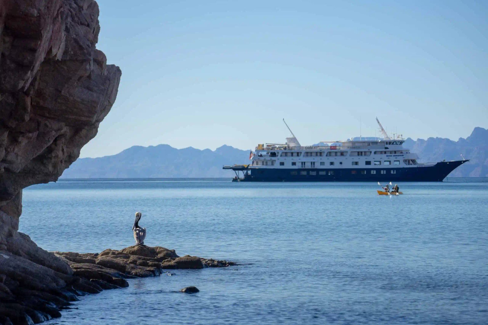 Adventures on a Sea of Cortez Cruise
