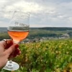 Champagne Day Trip from Paris: Is It Worth It?